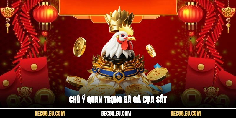 Chú ý quan trọng đá gà cựa sắt