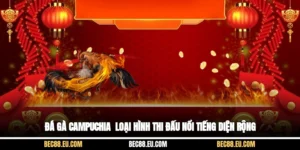 Đá Gà Campuchia - Loại Hình Thi Đấu Nổi Tiếng Diện Rộng