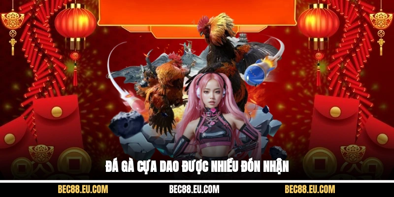 Đá gà cựa dao được nhiều đón nhận