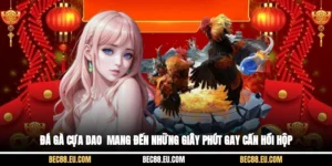 Đá Gà Cựa Dao - Mang Đến Những Giây Phút Gay Cấn, Hồi Hộp