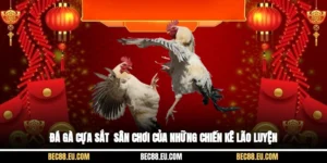 Đá Gà Cựa Sắt - Sân Chơi Của Những Chiến Kê Lão Luyện