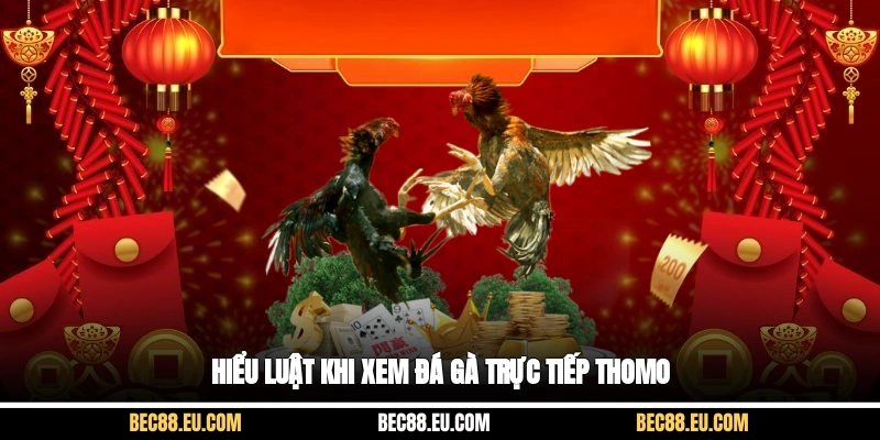 Hiểu luật khi xem đá gà trực tiếp thomo