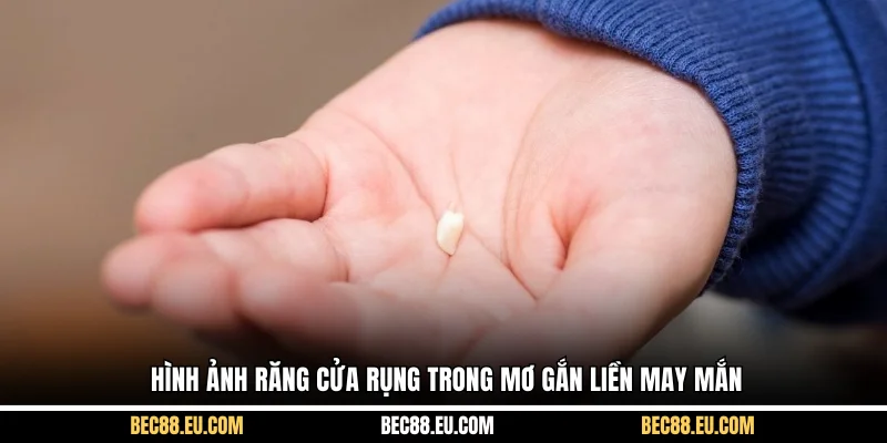 Hình ảnh răng cửa rụng trong mơ gắn liền may mắn