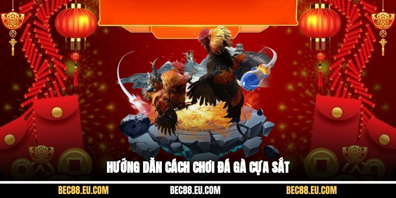 Hướng dẫn cách chơi đá gà cựa sắt