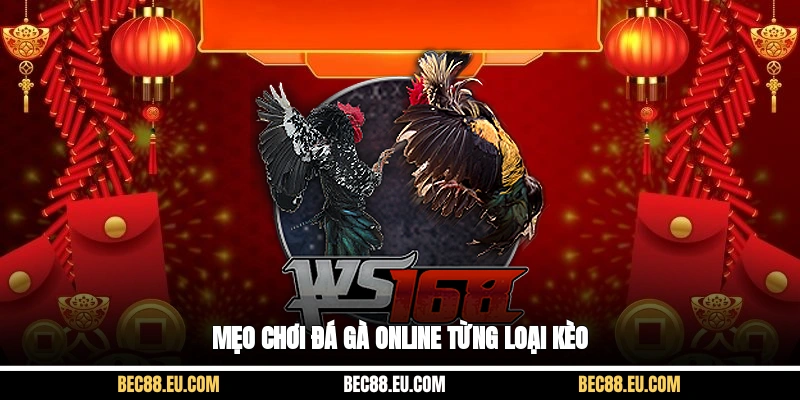 Mẹo chơi đá gà online từng loại kèo