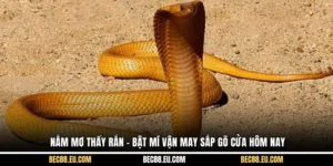 Nằm Mơ Thấy Rắn - Bật Mí Vận May Sắp Gõ Cửa Hôm Nay