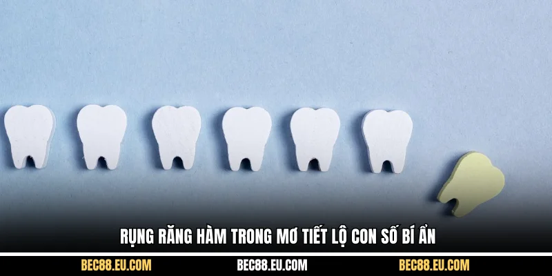 Rụng răng hàm trong mơ tiết lộ con số bí ẩn