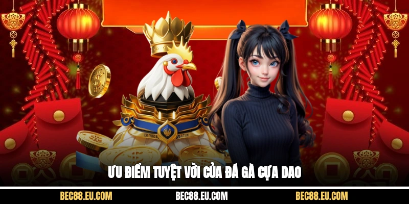 Ưu điểm tuyệt vời của đá gà cựa dao