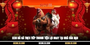 Xem Đá Gà Trực Tiếp Thomo Tiện Lợi Ngay Tại Nhà Của Bạn